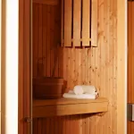 L'absinthe