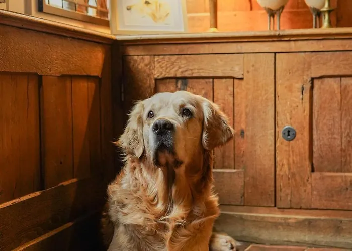 Hotell L'absinthe Honfleur